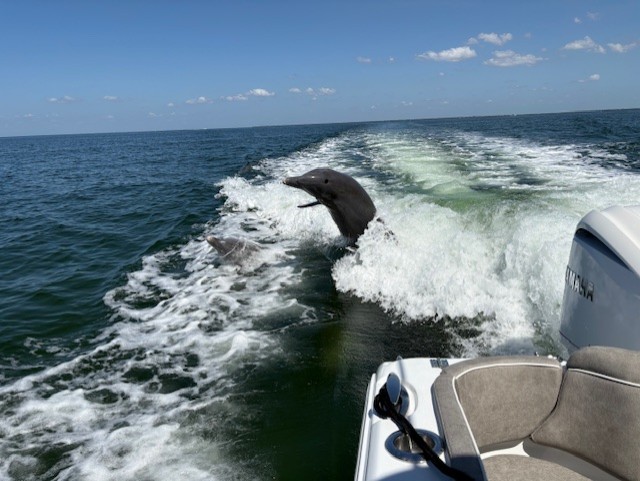 Boat Cruise Punta Gorda Port Charlotte